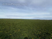 Terrain à BROMONT-LAMOTHE