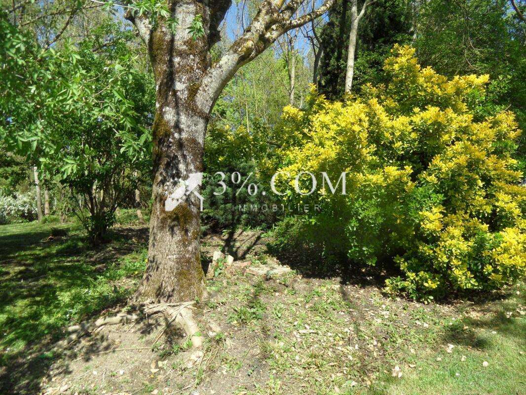 Maison de plain-pied de 105m2 sur parcelle de 3172m2 - photo 6