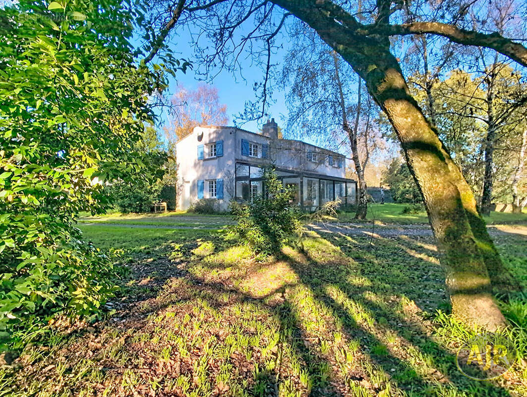 Maison à VIEILLEVIGNE