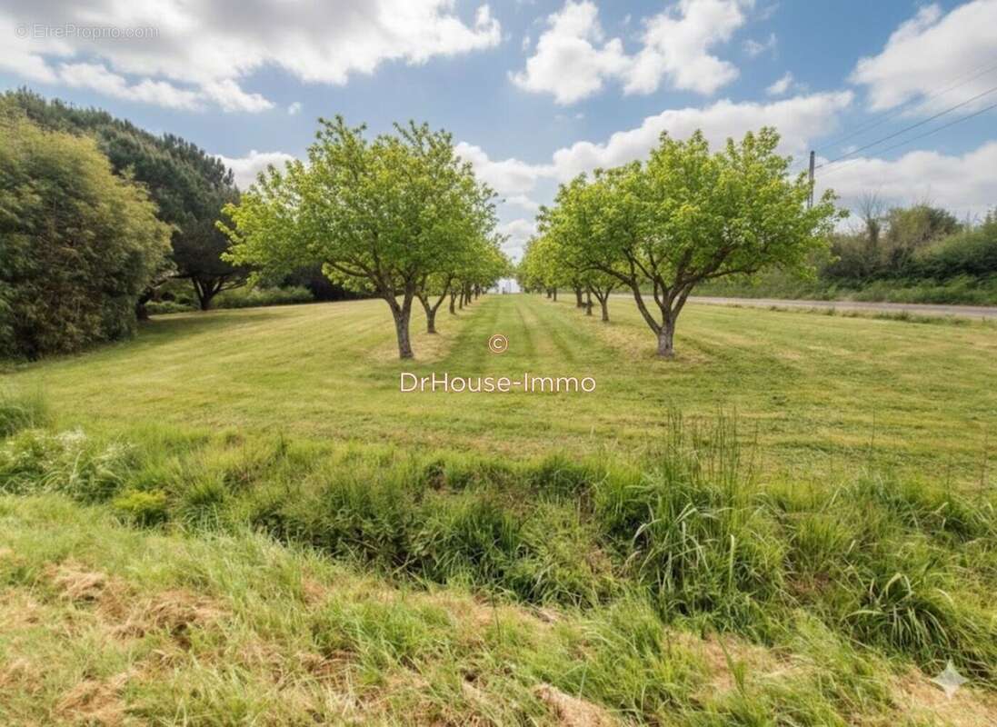 Maison 600 m² à Commequiers  - photo 21