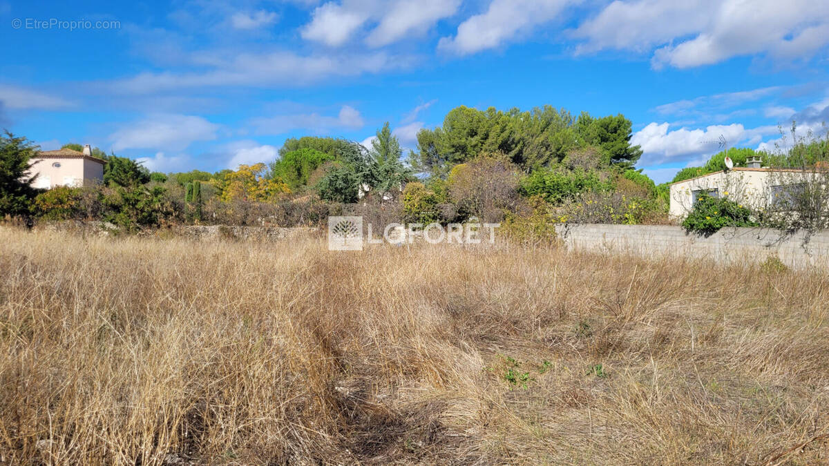 Terrain à CASTELNAU-LE-LEZ