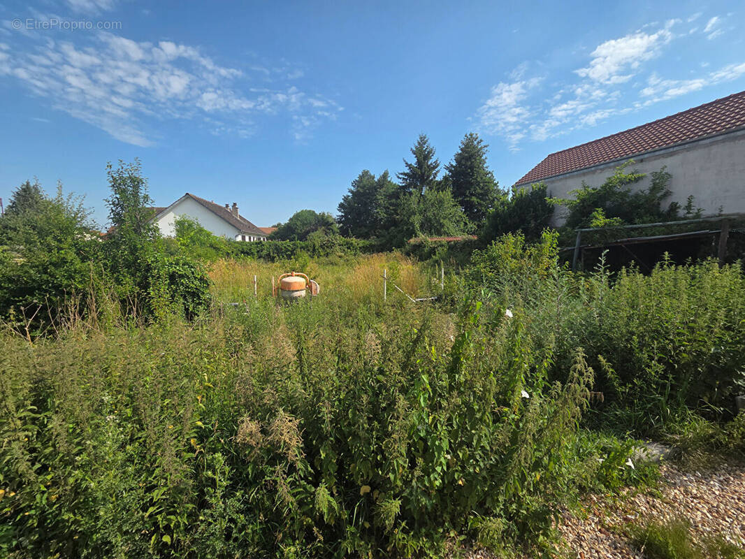 Terrain à SAINT-PIERRE-LES-ELBEUF