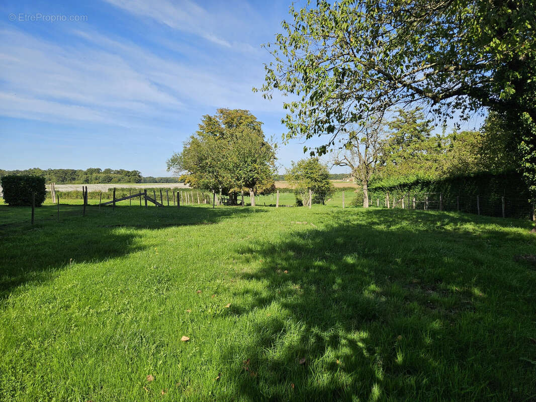 Maison à SAINT-MARTIN-EN-BRESSE