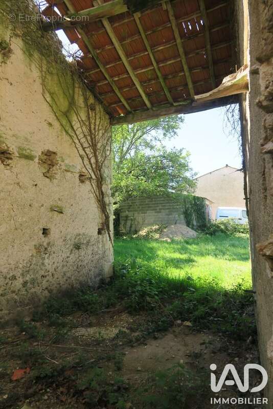 Photo 4