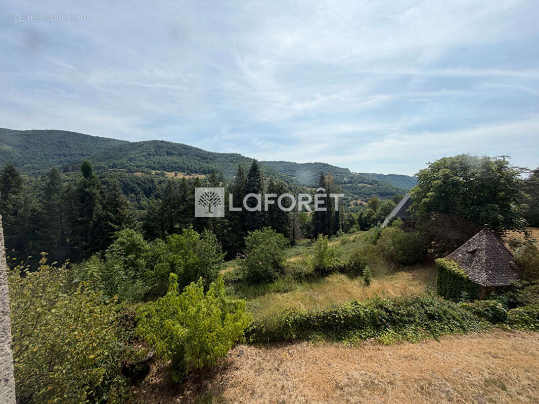 Ensemble immobilier - Thiezac - photo 4
