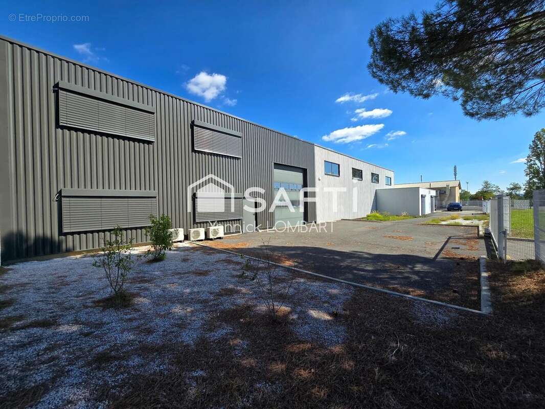 Photo 2 - Commerce à GAILLAC