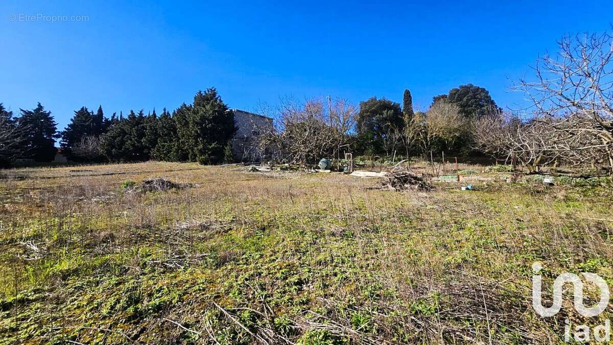 Photo 9 - Terrain à VILLASAVARY