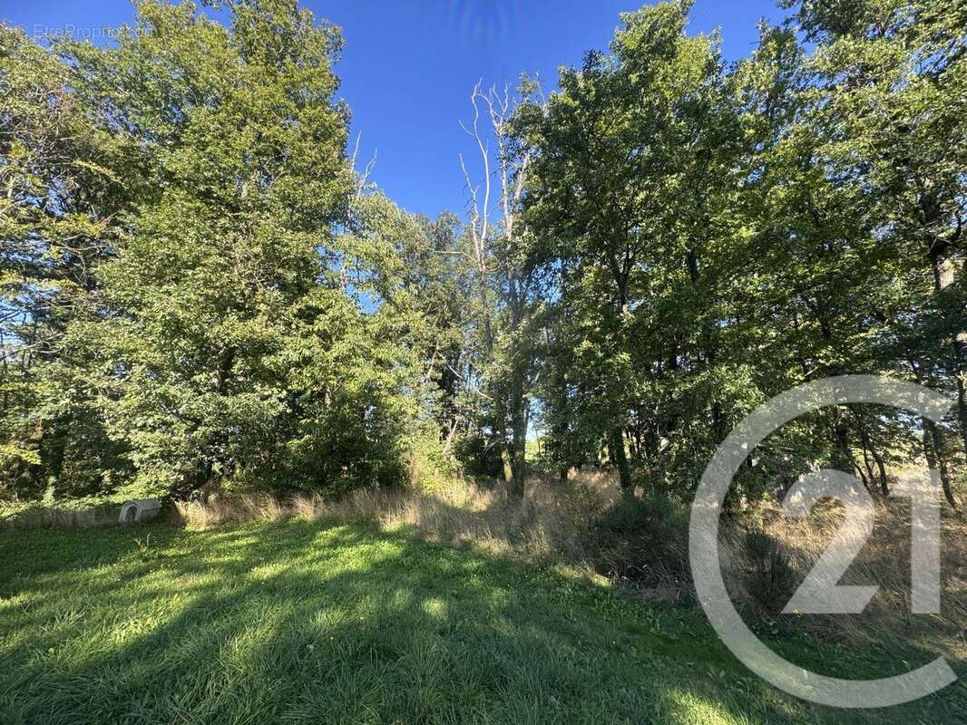 Maison à ETAIS-LA-SAUVIN