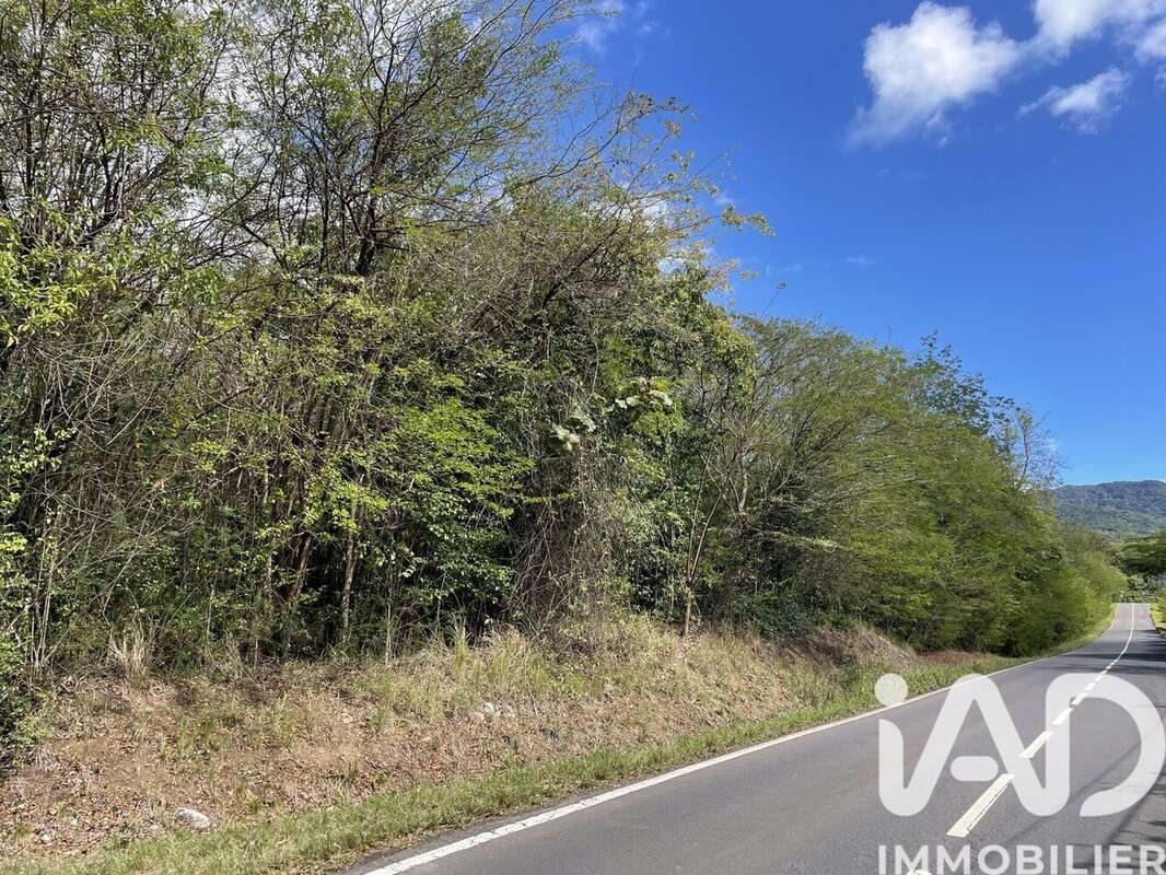 Photo 3 - Terrain à DESHAIES