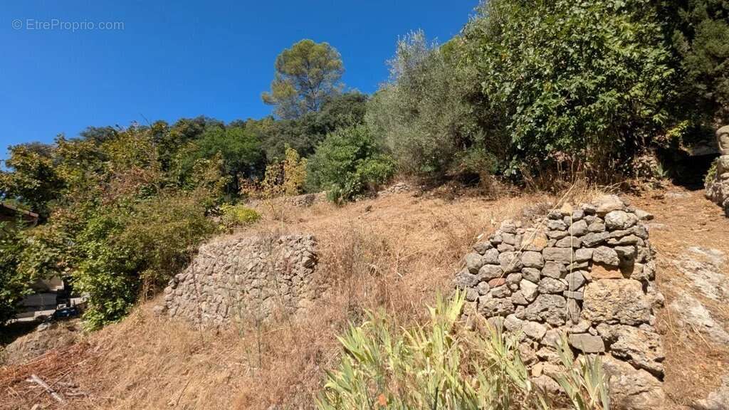 MONTFORT-SUR-ARGENS - Terrain constructible 940m² dans le village - photo 4
