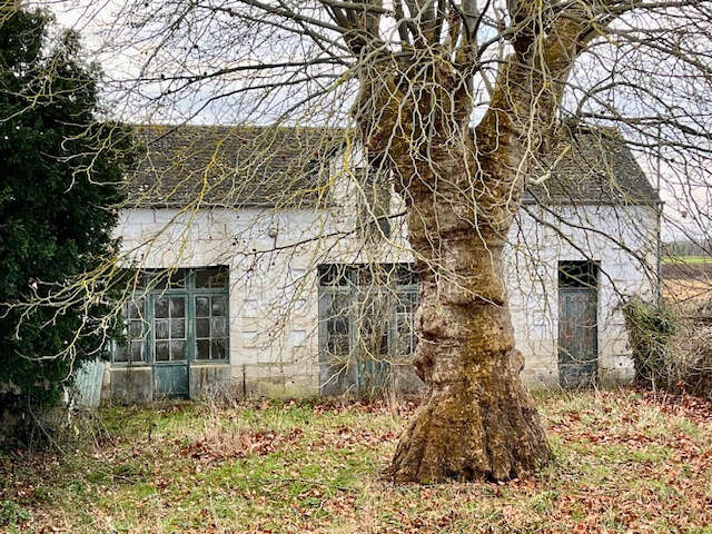 Maison à MONTREUIL-BELLAY