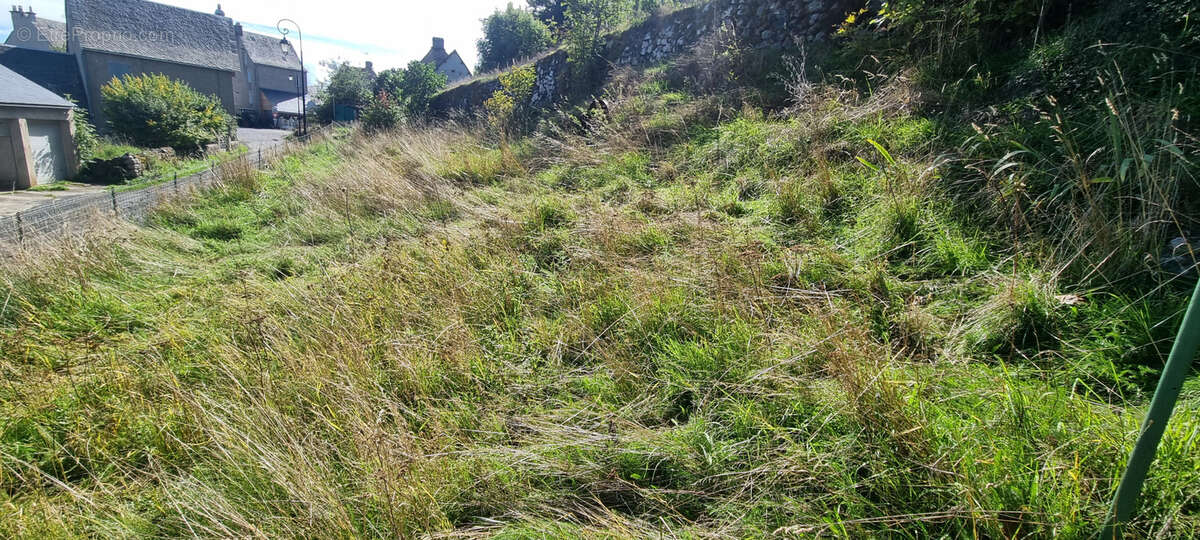Maison à SAINT-URCIZE