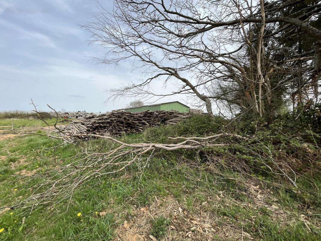 Maison à SAINT-PRIEST-LES-FOUGERES