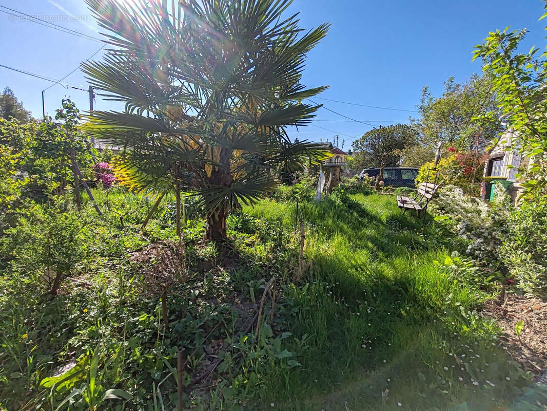 Maison à VILLERS-COTTERETS