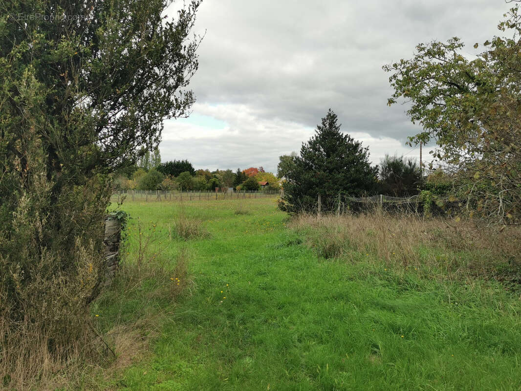 Maison à ROMORANTIN-LANTHENAY