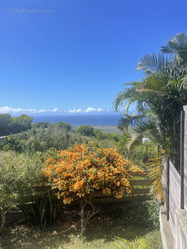 Maison à LES AVIRONS