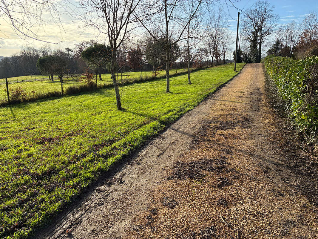 Maison à MONTASTRUC
