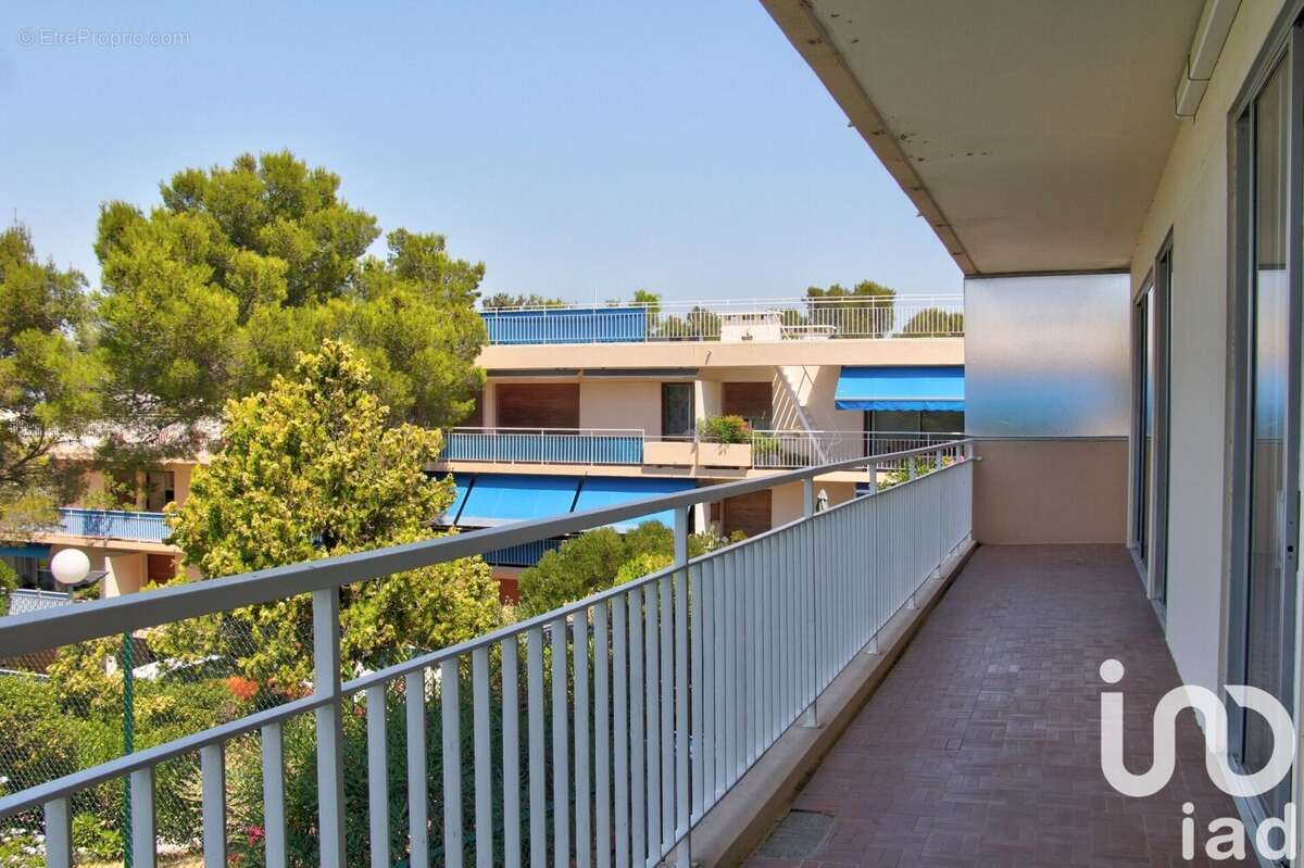 Photo 2 - Appartement à SAINT-MANDRIER-SUR-MER