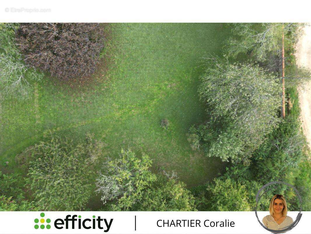 Terrain à COULOMBIERS