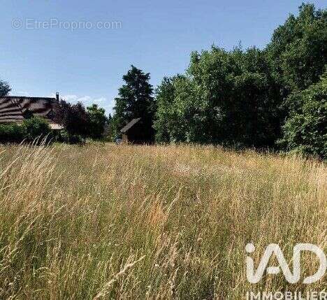 Photo 2 - Terrain à LE MANS