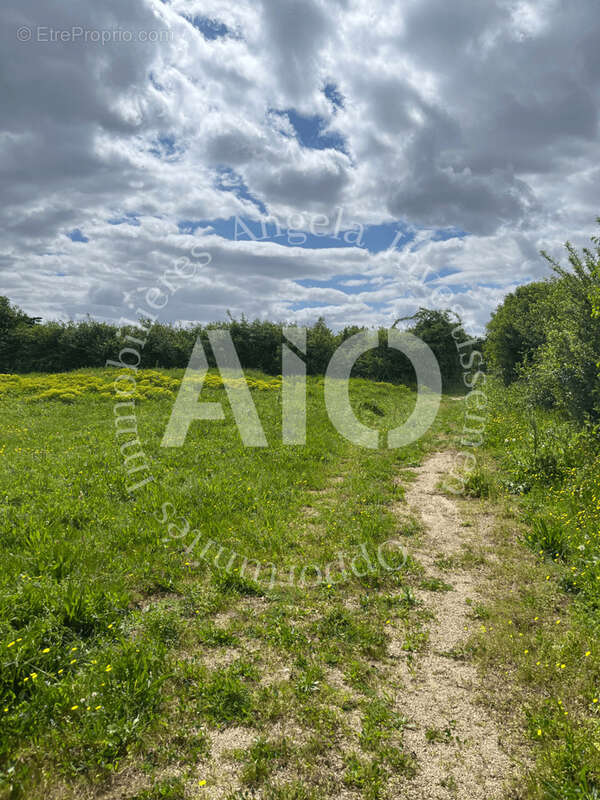 Terrain à LA BOISSE