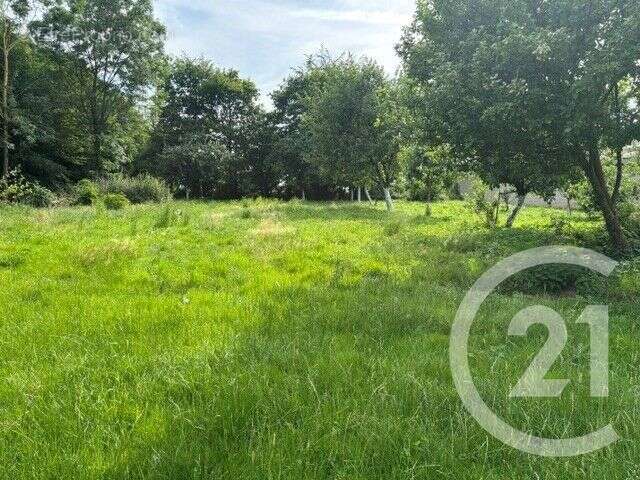 Maison 176 m² à Hucqueliers  - photo 10