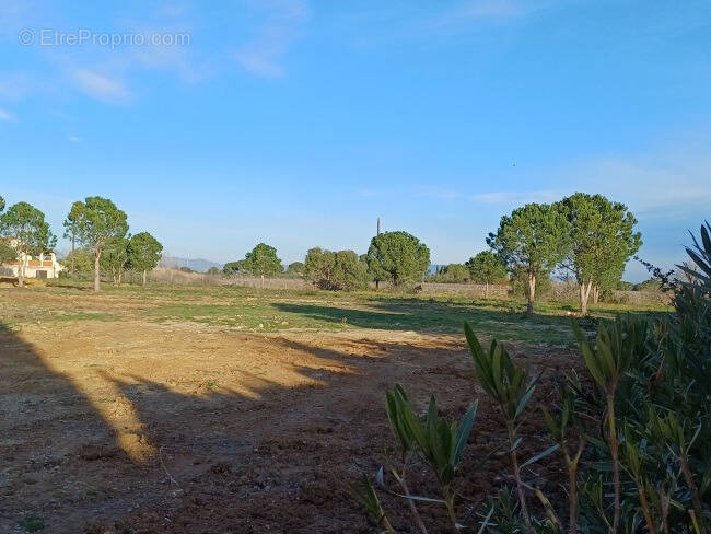 Terrain à PERPIGNAN