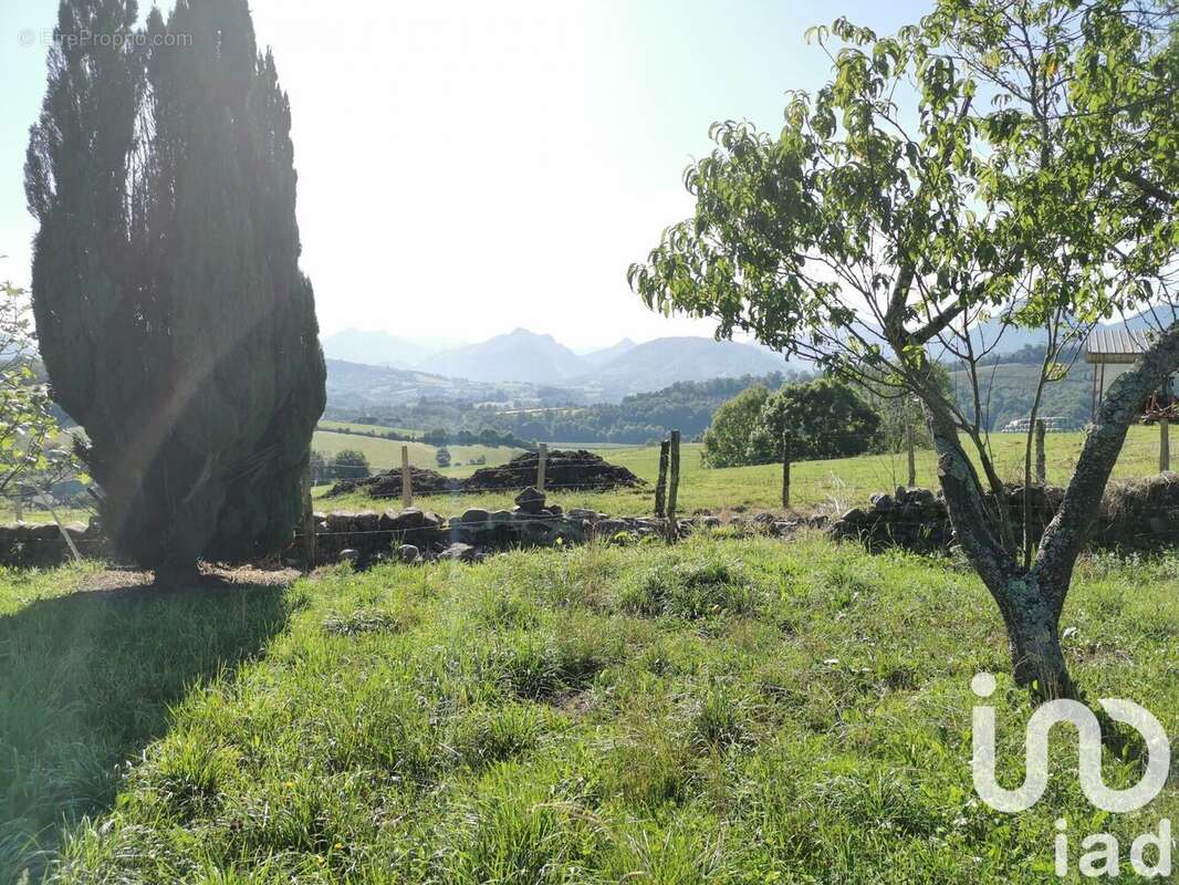 Photo 2 - Maison à LANNE-EN-BARETOUS