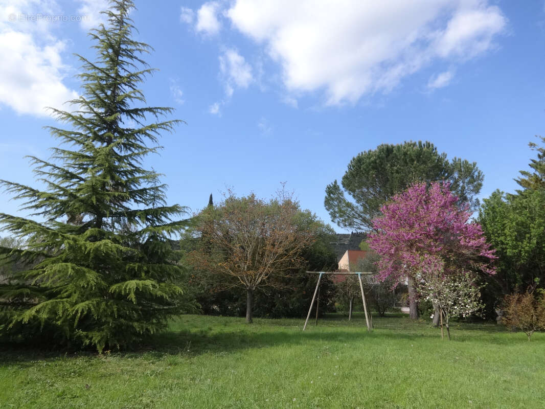 A vendre villa piscine sur terrain de 6000m2       limoux - photo 2