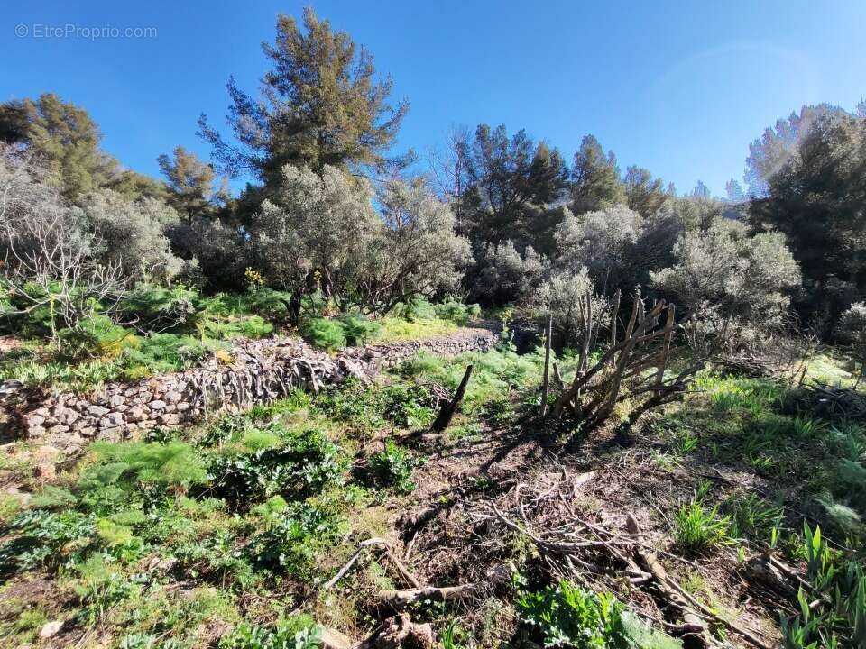 Terrain à TOULON