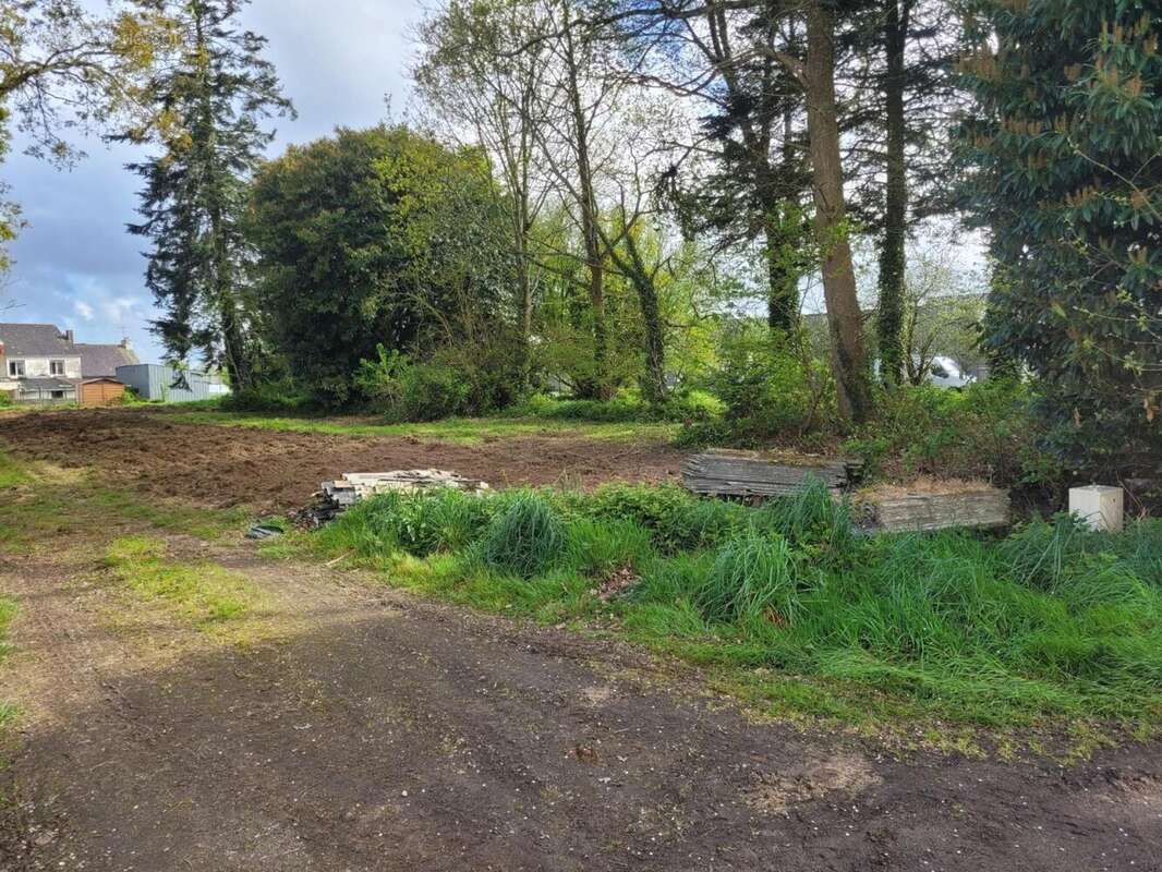 Photo 3 - Terrain à RADENAC