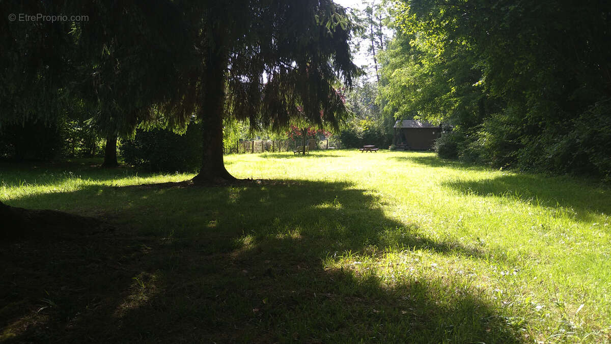Terrain à SAINT-LEONARD-DES-BOIS