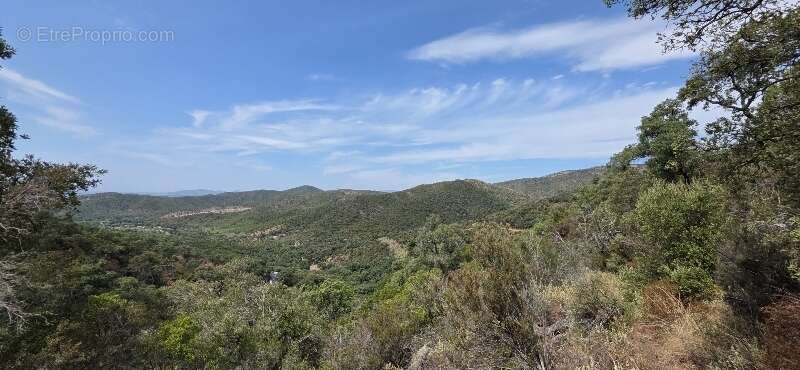 Terrain à BORMES-LES-MIMOSAS
