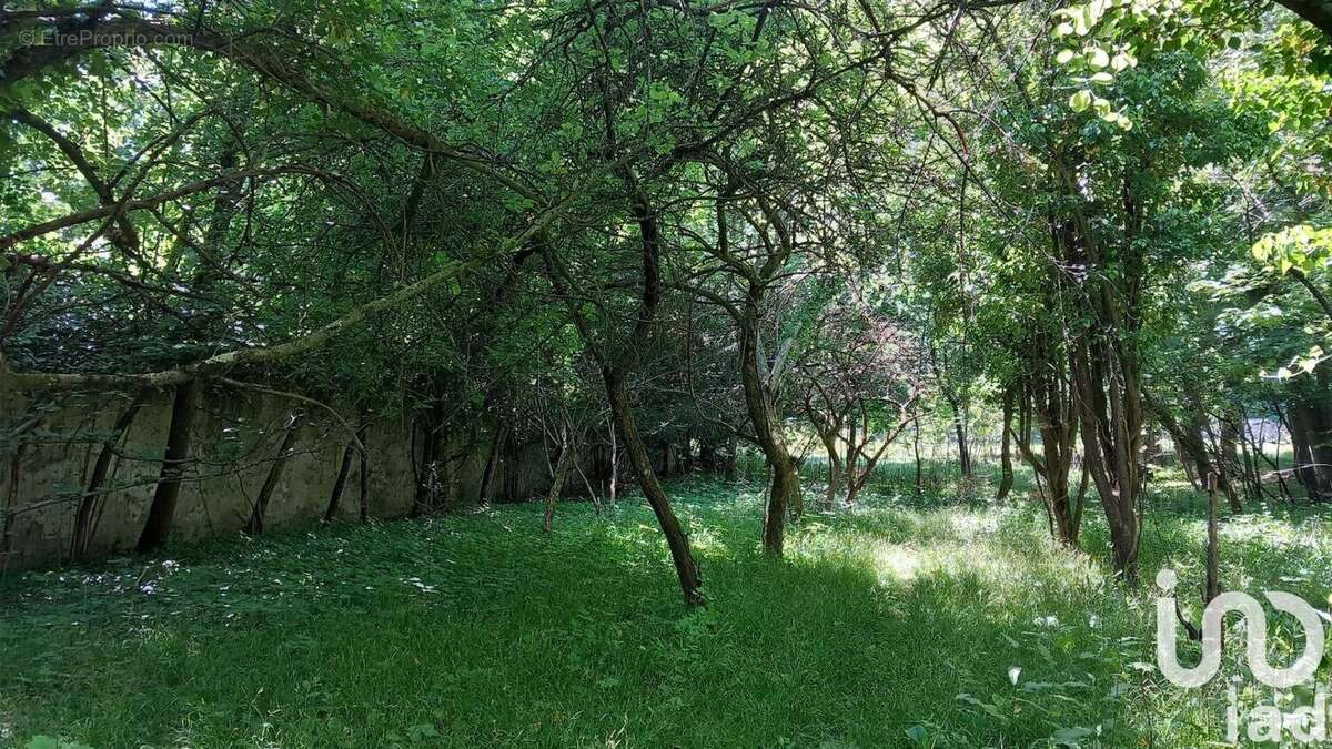 Photo 2 - Maison à LONGPONT-SUR-ORGE