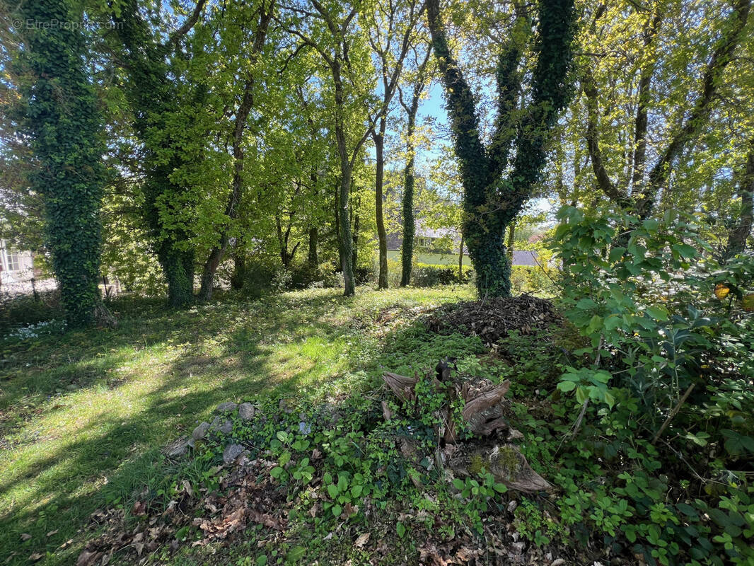 Terrain à QUEVEN
