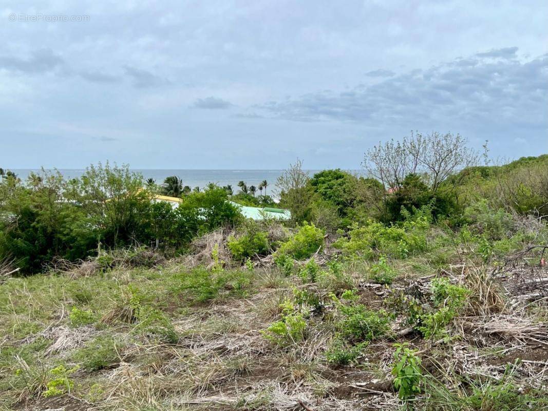 Terrain à LE VAUCLIN