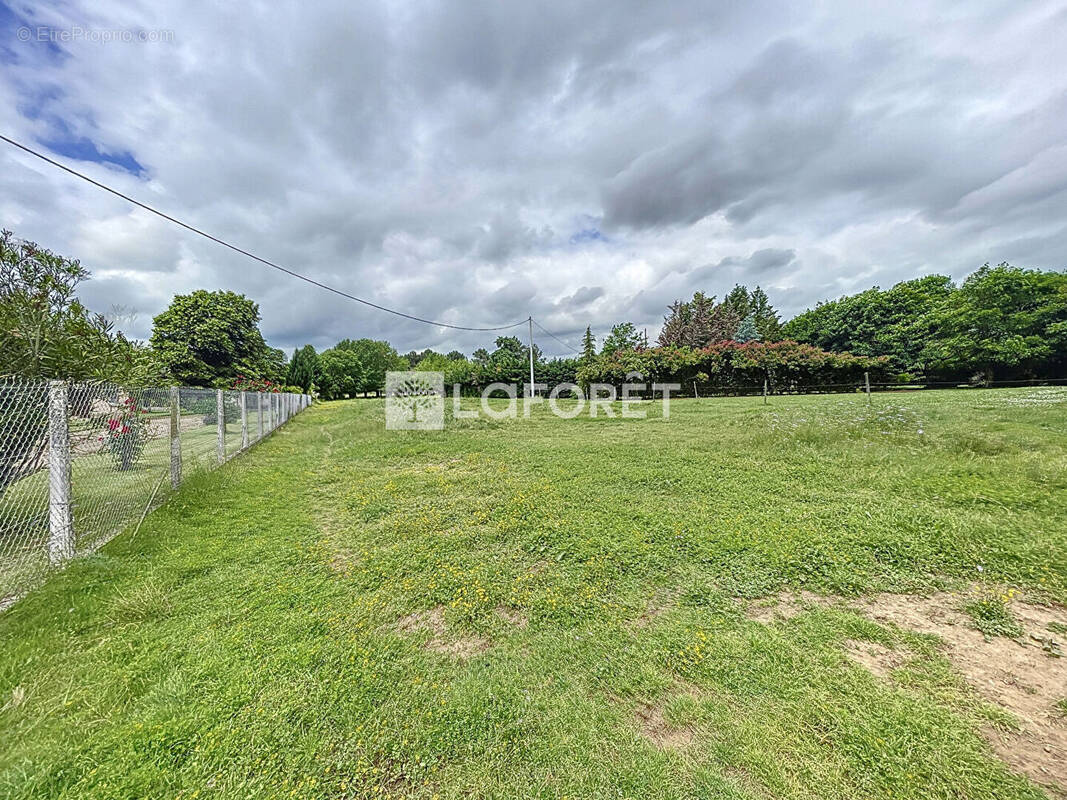 Terrain à VILLEMUR-SUR-TARN