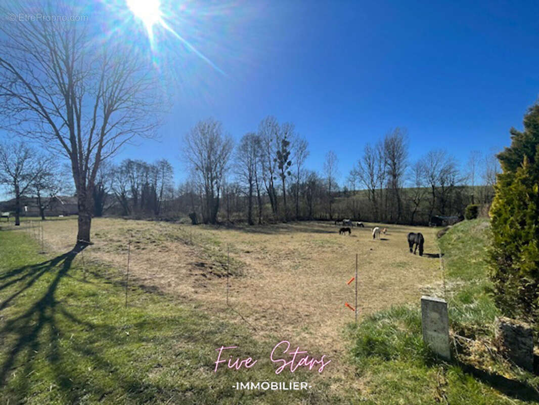 Terrain à VILLE-SUR-COUSANCES