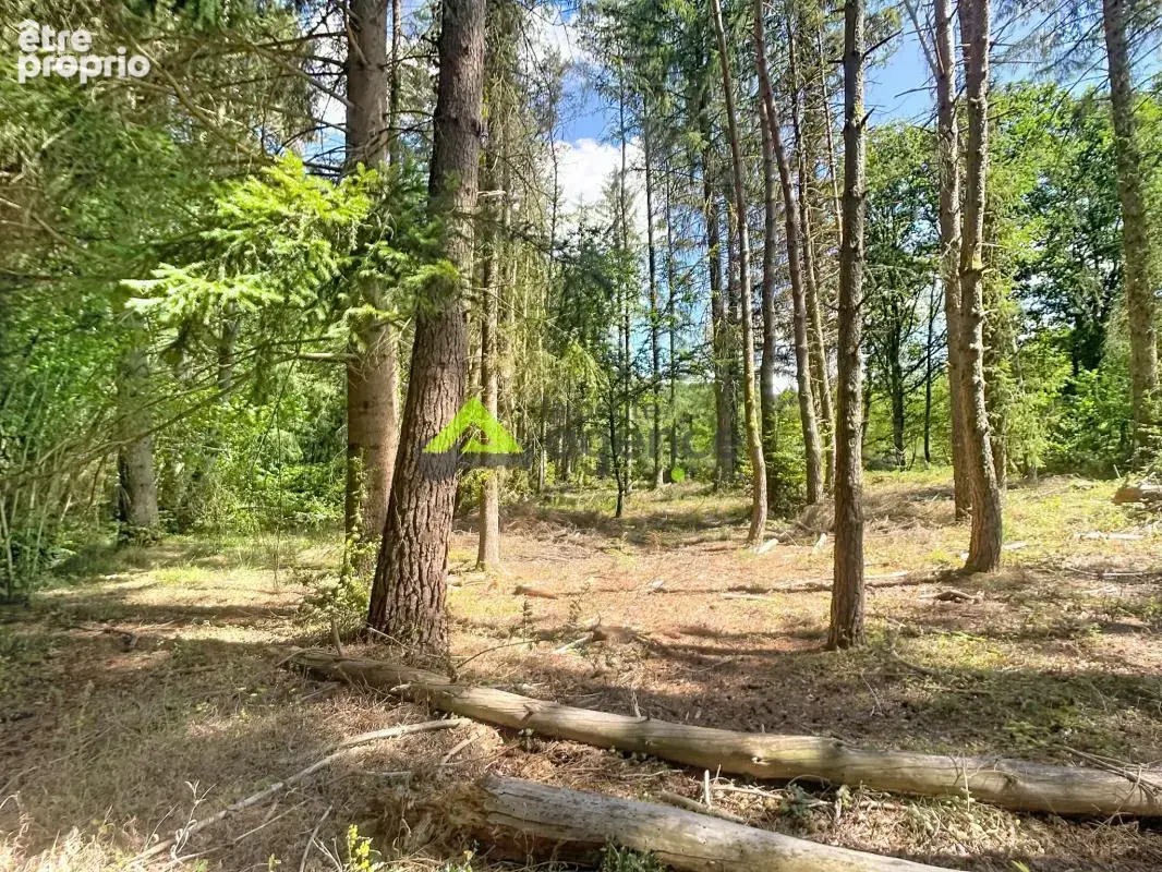 Étang privé   5 540 m2   Croze (23)   Terrain de loisirs - photo 5
