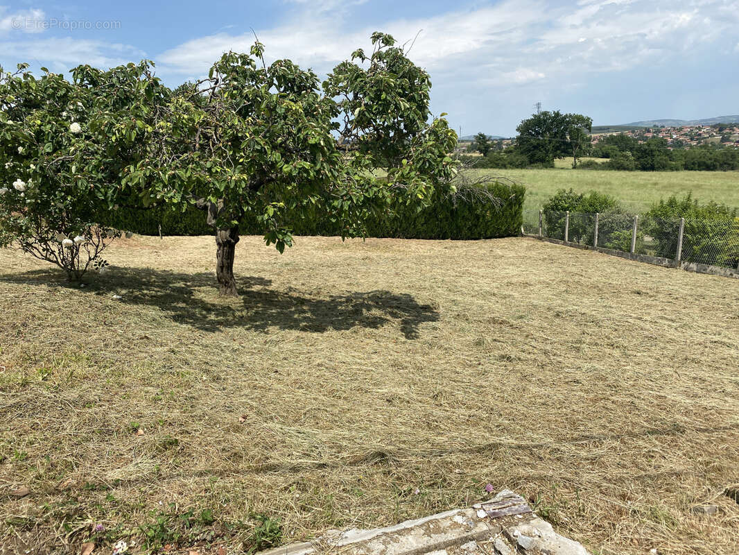 Terrain à PONTCHARRA-SUR-TURDINE
