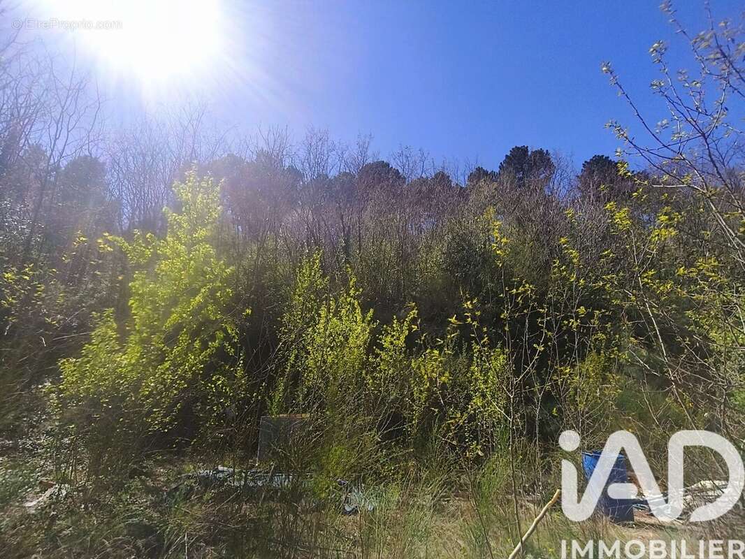 Photo 8 - Terrain à CHAMBONAS