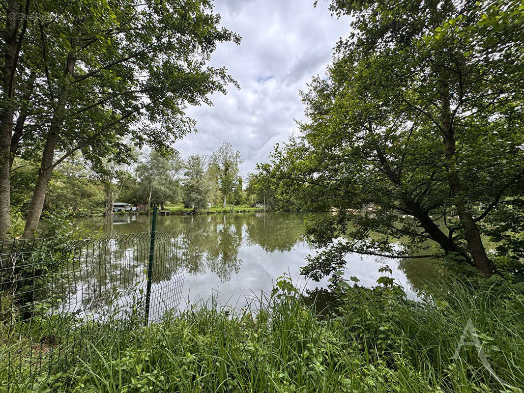 Étang - 9672 m² de nature à 20 min d'amiens - photo 5