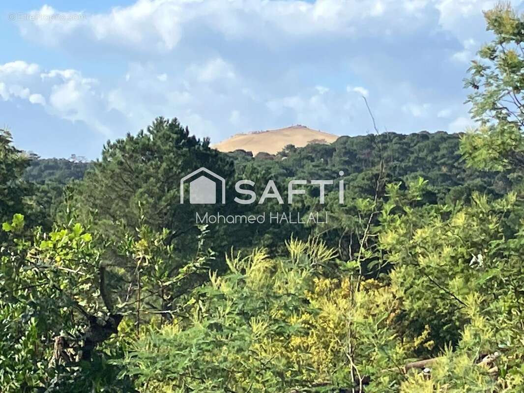 Photo 2 - Maison à LE BOUSCAT