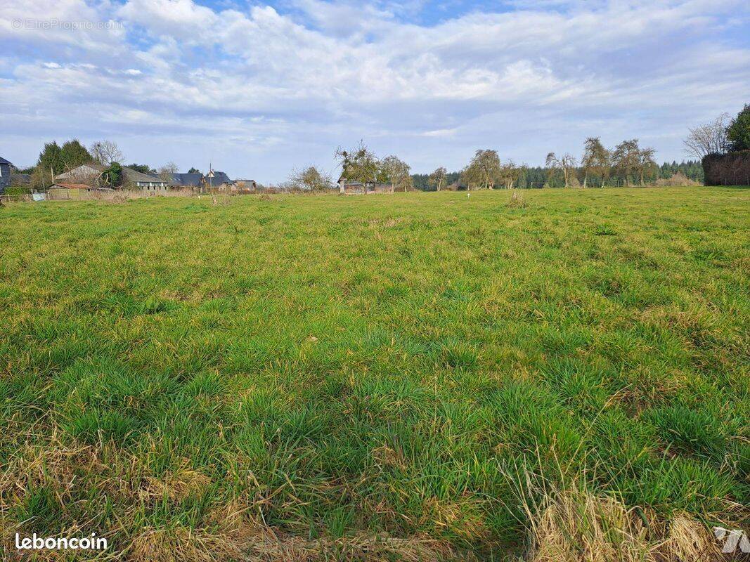 Terrain à FIERVILLE-LES-PARCS