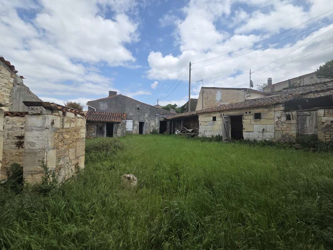 Maison à CHATEAUNEUF-SUR-CHARENTE