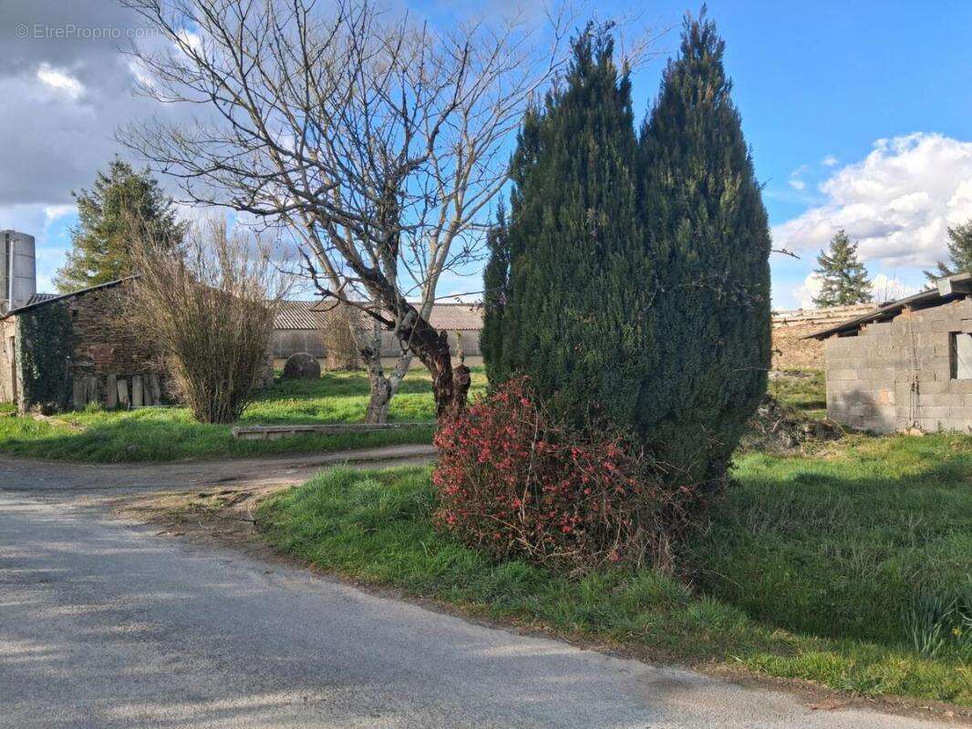 Maison à SAINT-AMAND-SUR-SEVRE