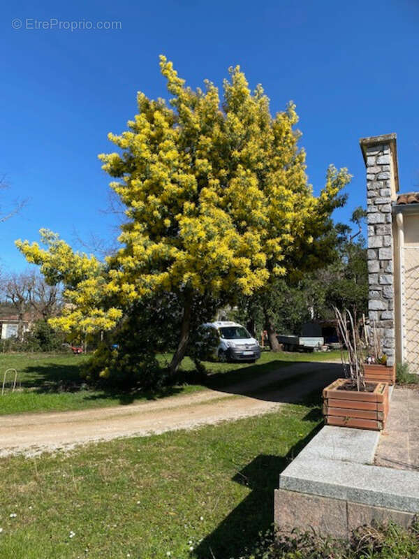Dpt Haute Garonne (31), à vendre REVEL maison P4 - photo 9