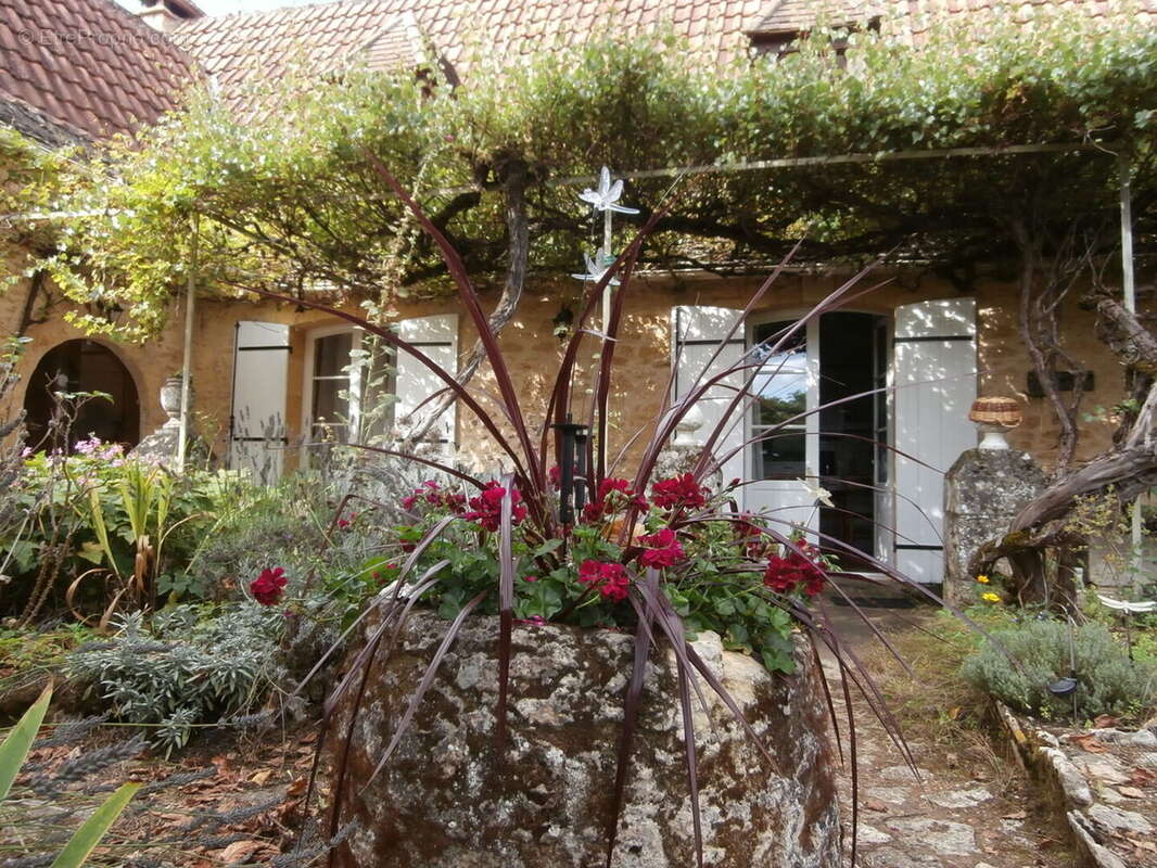 P8170015 - Maison à BEYNAC-ET-CAZENAC