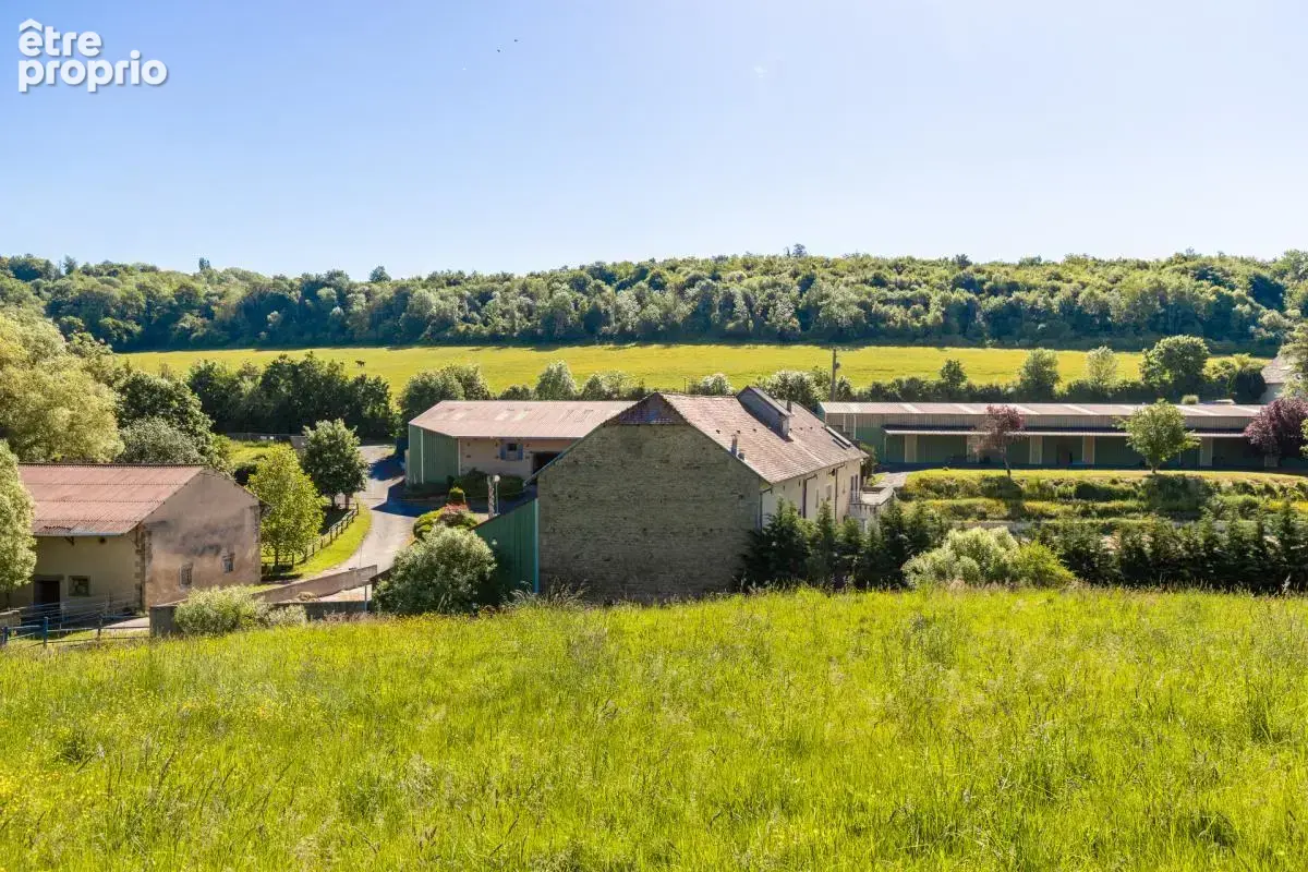 Domaine equestre - boxes-manege-carriere-appartement - photo 10