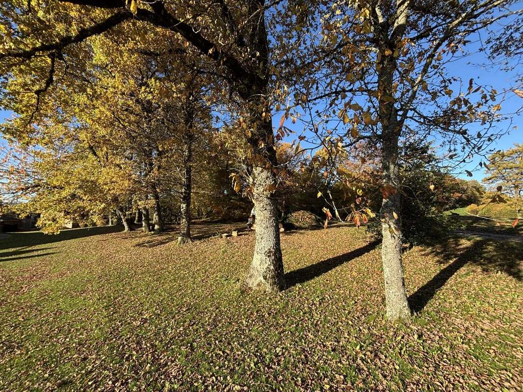 Terrain à CRUSEILLES